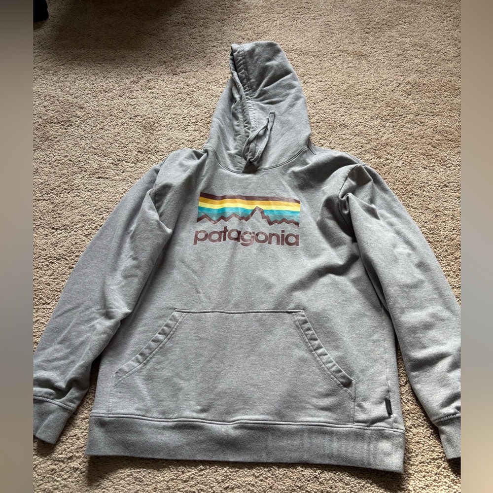 Patagonia P-6 Logo Hoody